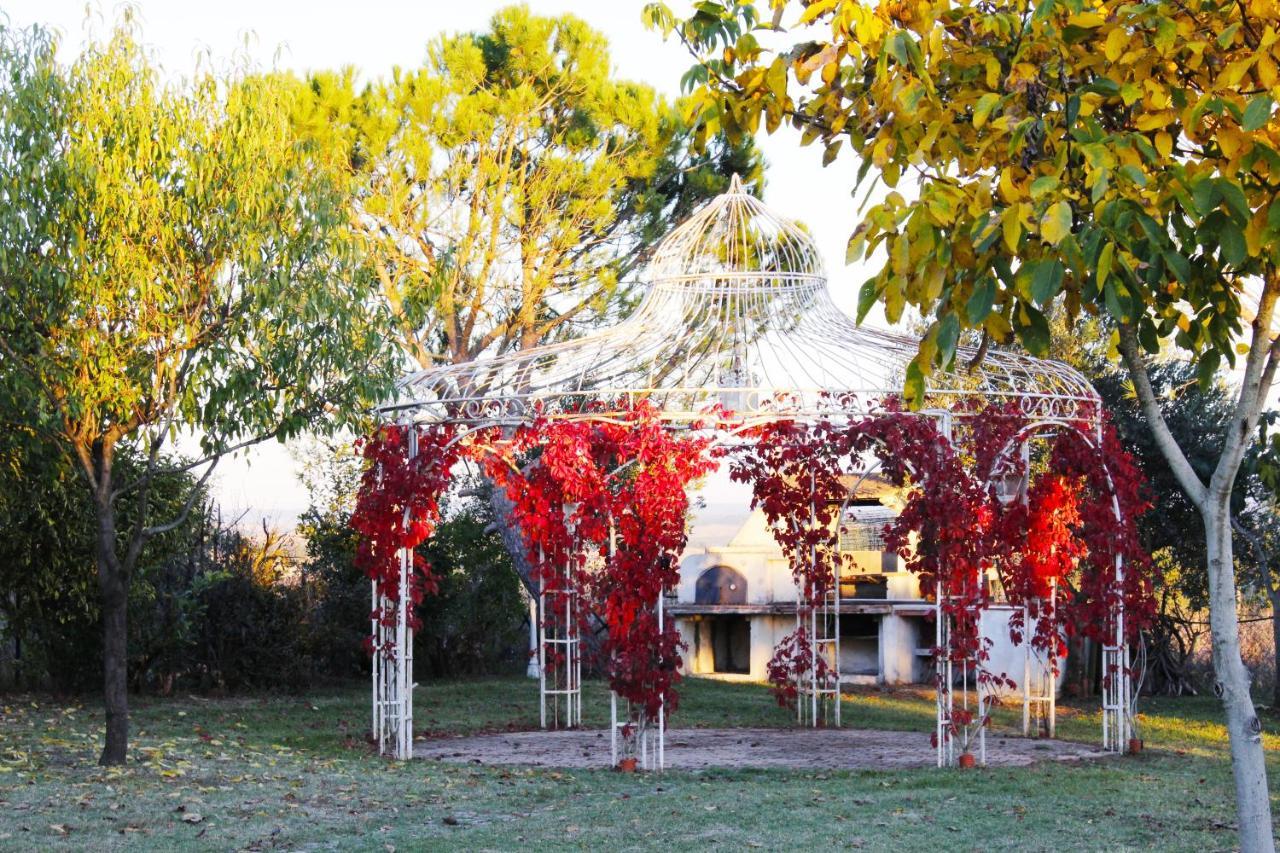 Appartamento Con Piscina E Giardino A סיינה מראה חיצוני תמונה
